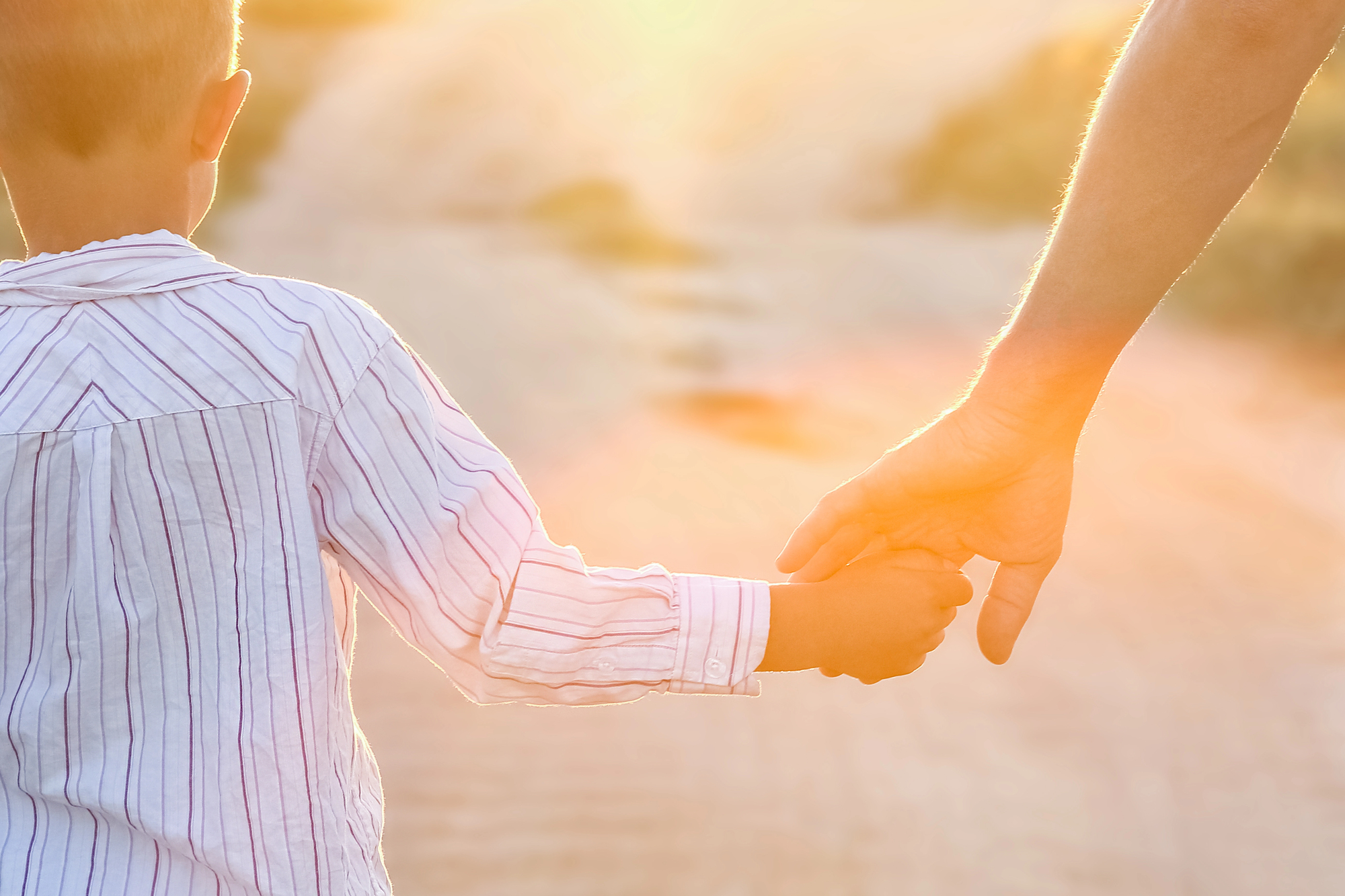 Child Custody & Timesharing